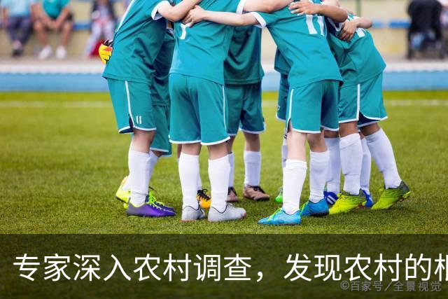 专家深入农村调查，发现农村的根本问题不是收入太低
