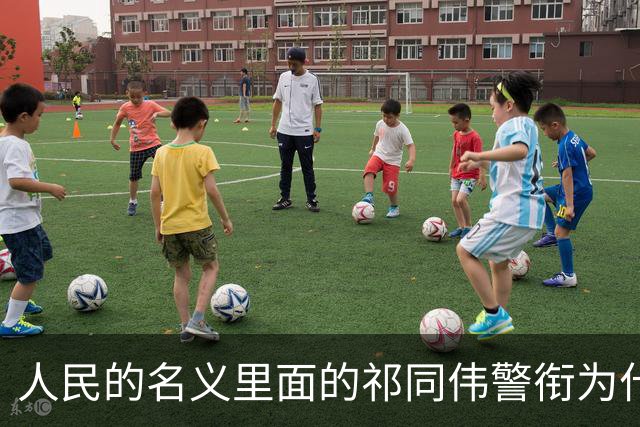 人民的名义里面的祁同伟警衔为什么是一级警监？毕竟他是公安厅长