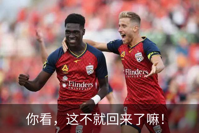 你看，这不就回来了嘛！