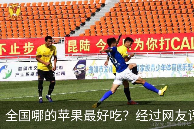 全国哪的苹果最好吃？经过网友评比，这6个榜上有名，有你家乡吗
