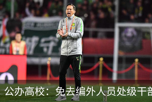 公办高校：免去编外人员处级干部职务