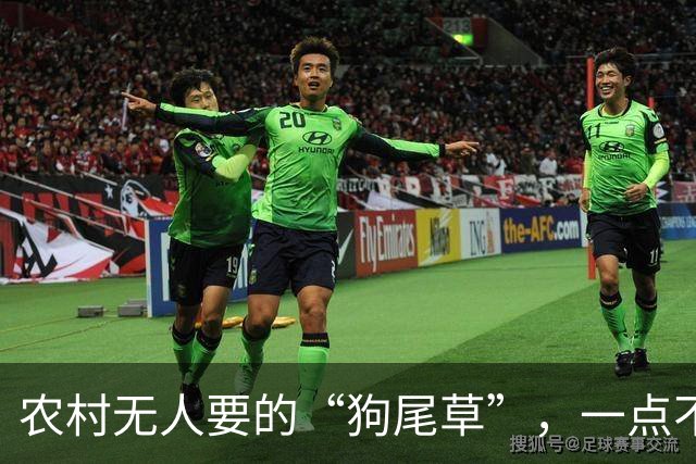 农村无人要的“狗尾草”，一点不起眼，带回家还有这“妙用”！