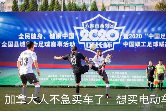 加拿大人不急买车了：想买电动车的人里 42%说等中国车到了再说