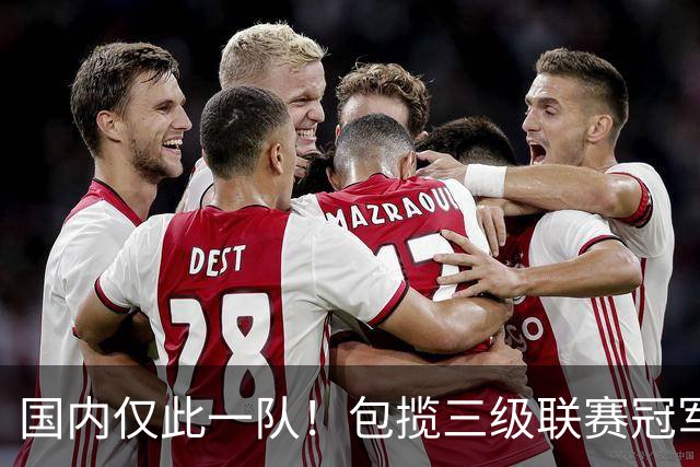 国内仅此一队！包揽三级联赛冠军，疯狂程度不输恒大，如今却黯然降级