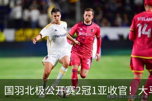 国羽北极公开赛2冠1亚收官！大马男双新组合首次配对即夺冠