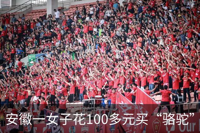 安徽一女子花100多元买“骆驼”冲锋衣，收到货一看，logo竟是一头咧着嘴笑的驴！有人质疑这是擦边，商家：商标已注册，不要只看图片外观