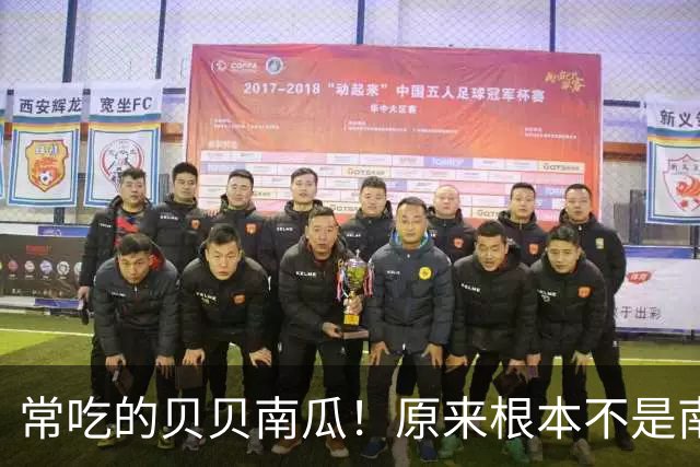 常吃的贝贝南瓜！原来根本不是南瓜，很多人都搞错了！