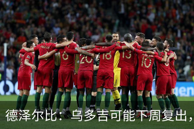 德泽尔比：乌多吉可能下周复出，麦迪逊和库卢在本轮英超都能出场