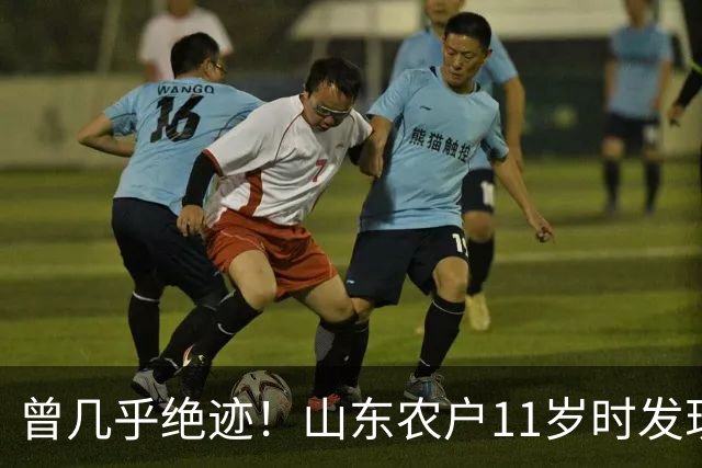 曾几乎绝迹！山东农户11岁时发现1棵幼苗，花34年令它走出绝境