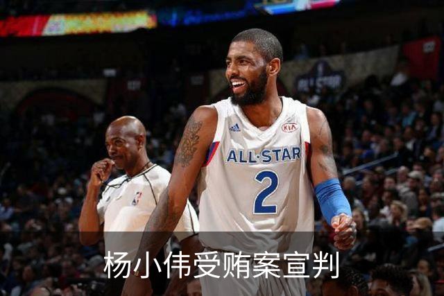 杨小伟受贿案宣判