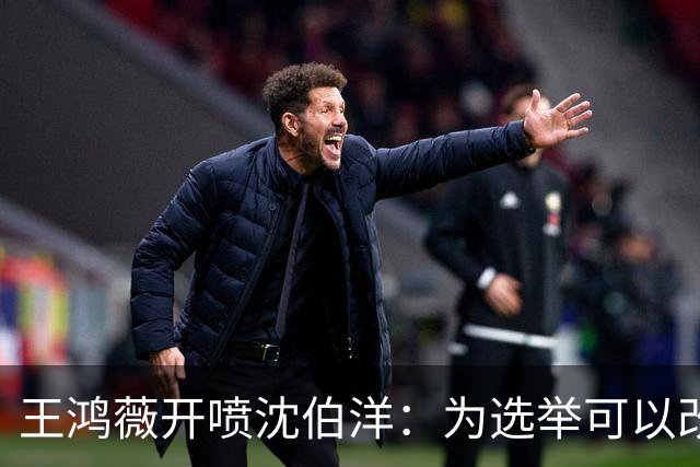 王鸿薇开喷沈伯洋：为选举可以改变自己的人设？确实厉害！