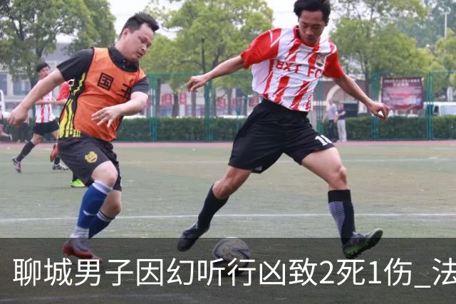 聊城男子因幻听行凶致2死1伤 法院一审判其死刑：虽患精神疾病，但主观具有杀人的直接故意