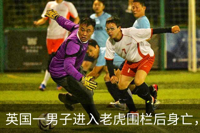 英国一男子进入老虎围栏后身亡，动物园称正查清经过