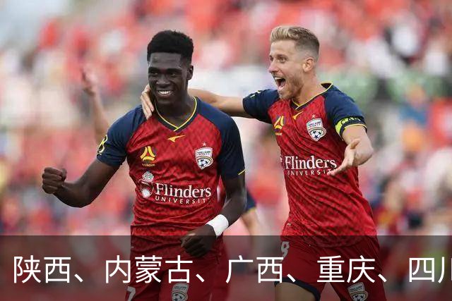 陕西、内蒙古、广西、重庆、四川、贵州、云南、西藏、甘肃、青海、宁夏、新疆联合发布“双十一”提示
