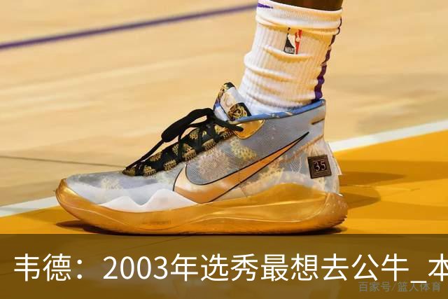 韦德：2003年选秀最想去公牛 本以为第7顺位被选中没想到热火截胡