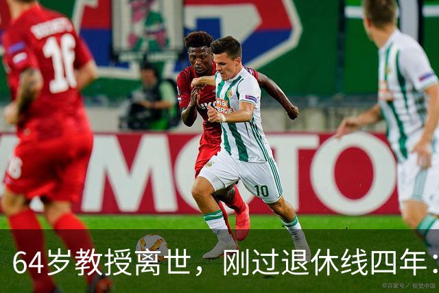 64岁教授离世，刚过退休线四年：又一位学者没能等到自己的"下半场"